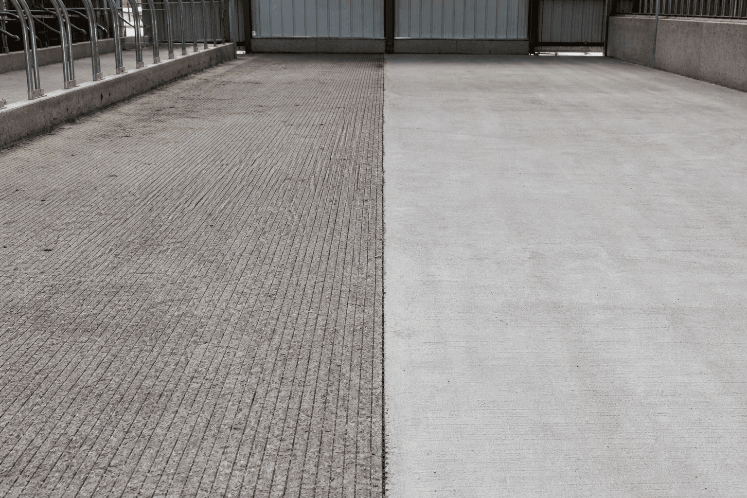 Comparison of square-edged concrete grooving versus floor milling for dairy barn traction