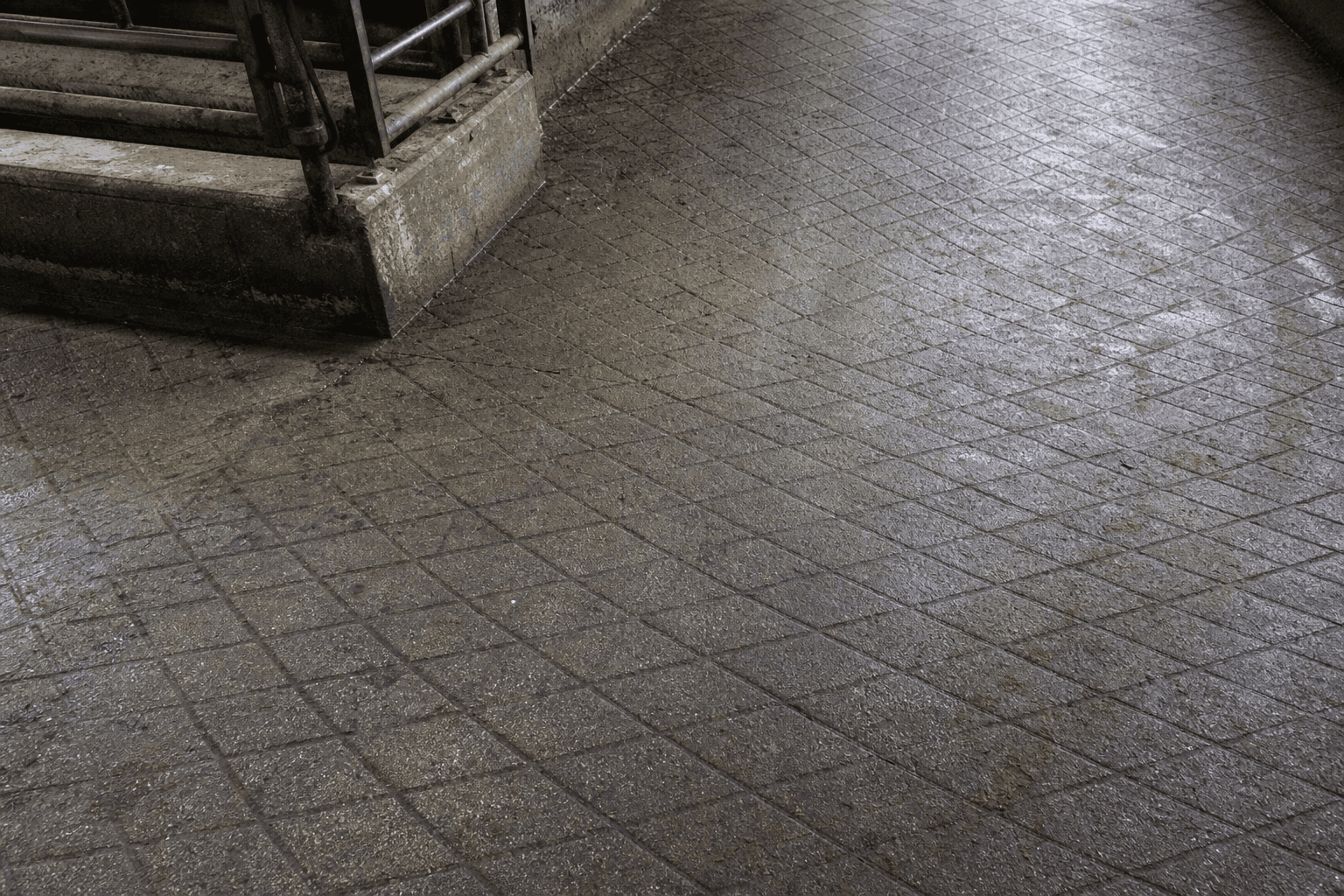 Diamond pattern grooved concrete at a barn turn where cows pivot